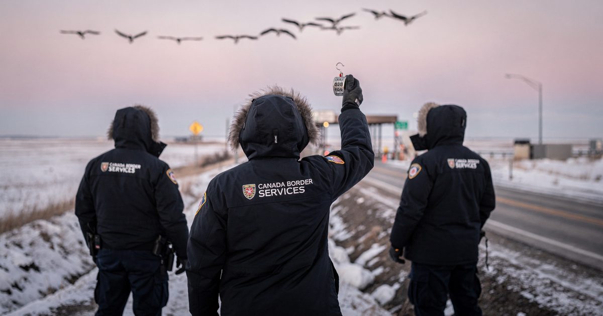 Pale pink dawn light over a frozen roadside ditch at a prairie land border crossing, three border officers in dark parkas seen from behind and below craning up.