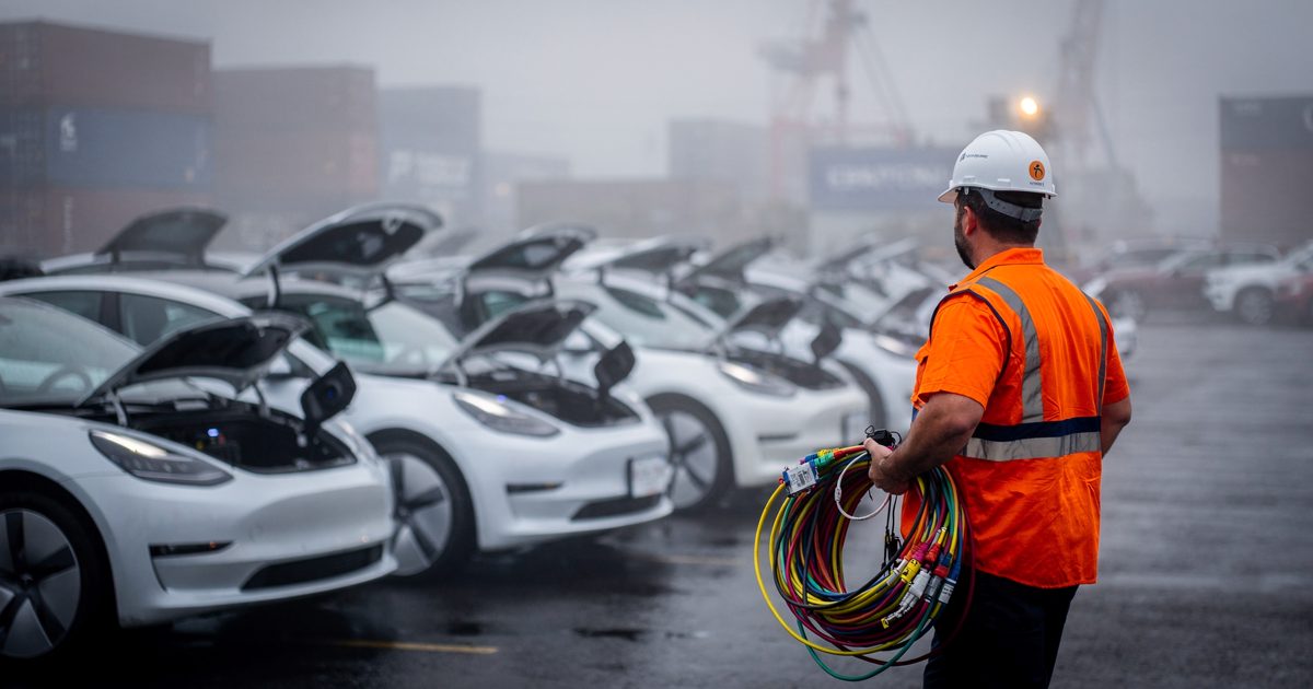 Wide shot in dense morning fog at a vehicle import lot in Port Newark, a row of identical white electric sedans sitting with their charging port doors flipped.