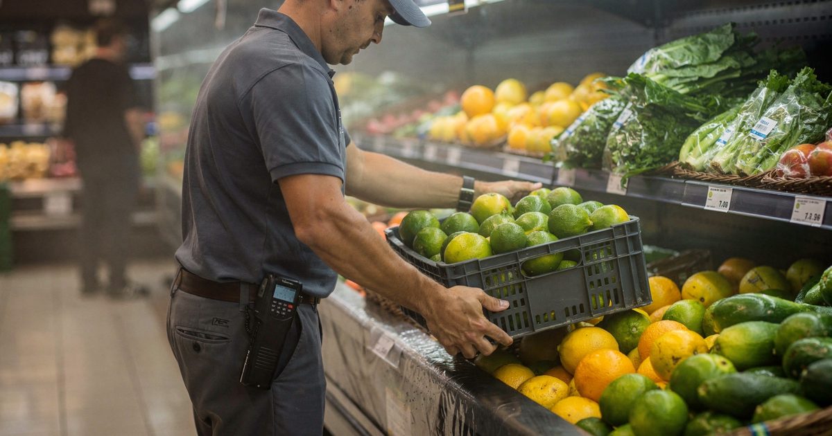 Three-quarter view at opening hour in a Brisbane supermarket produce aisle, a staffer turned at the hip as they seat a crate of limes on a misted shelf, a.