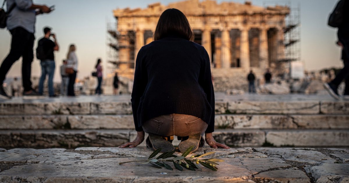 Medium shot from behind at sunrise on the worn marble steps below the Parthenon in Athens, a woman in a dark cardigan kneeling to set a single cut olive branch.