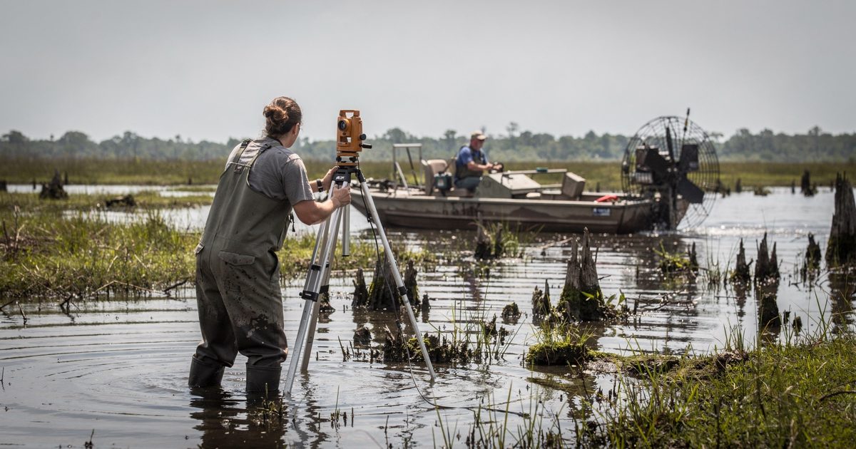 Hazy midday glare over open Louisiana marshland, a surveyor in chest waders sunk to the knees steadying a tilting tripod, seen from behind with an airboat.