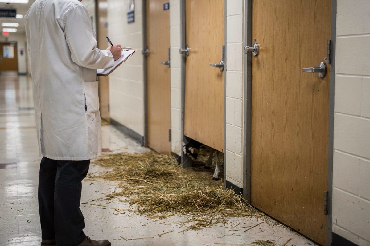 Wide shot from behind of three numbered plywood doors built into a university corridor wall, a part-cropped researcher in a lab coat holding a clipboard and.