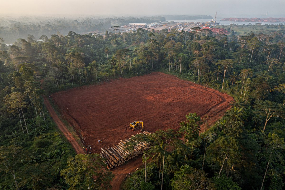 Drone view at dawn over Sumatran lowland, a straight-edged clearing of red earth cut into dark rainforest canopy, a single yellow excavator parked at the.