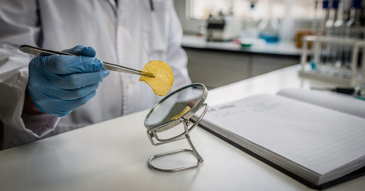 Close detail on a white laboratory bench under flat morning daylight from a tall window, a gloved hand holding a single curved potato chip in steel tweezers up.