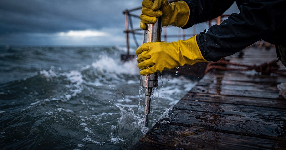 Close detail at blue dawn on a wet wooden coastal research pier, a researcher's hands in yellow rubber gloves cropped at the forearms pulling a dripping.