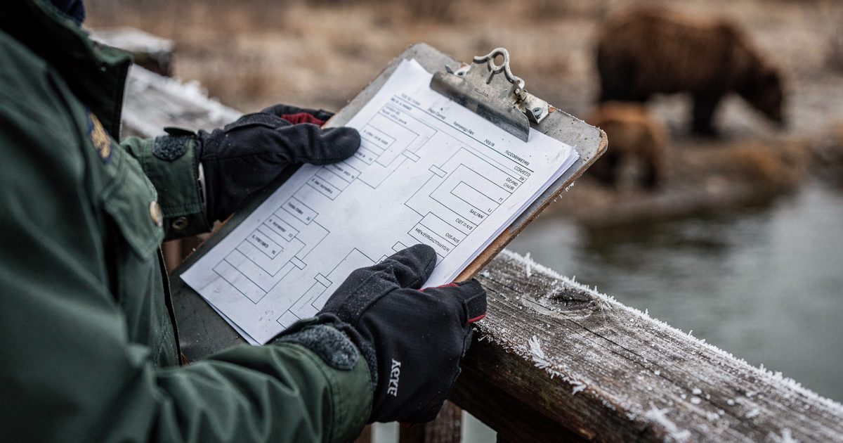 Close detail in flat afternoon overcast on the frosted wooden railing of a river viewing platform, a park ranger's insulated gloves cropped at the cuffs.
