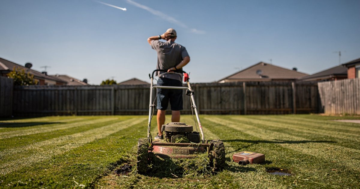 Low wide shot across a freshly striped suburban back lawn in bright Sunday afternoon sun, a stalled push mower halted mid-stripe while a figure in shorts.