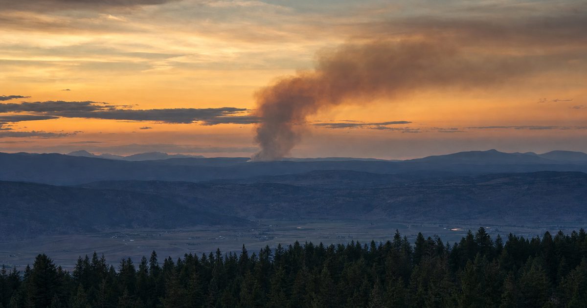 A distant wildfire smoke plume rising beyond a dark coniferous treeline at dusk, photographed from across a broad valley, orange-grey sky, no people or burning.