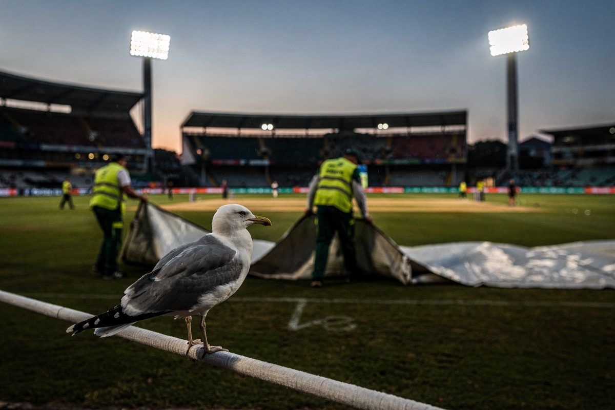 At dusk under floodlights just switching on, groundstaff seen from behind drag rain covers across the pitch while a lone gull stands on the boundary rope in.