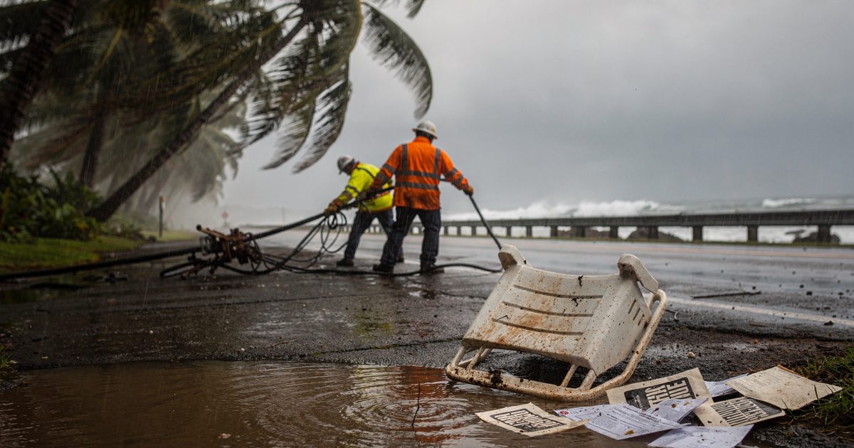 Rain-lashed coastal road on a Hawaiian island at grey first light, palm fronds thrashing sideways as two part-cropped utility workers in hi-vis jackets haul a.