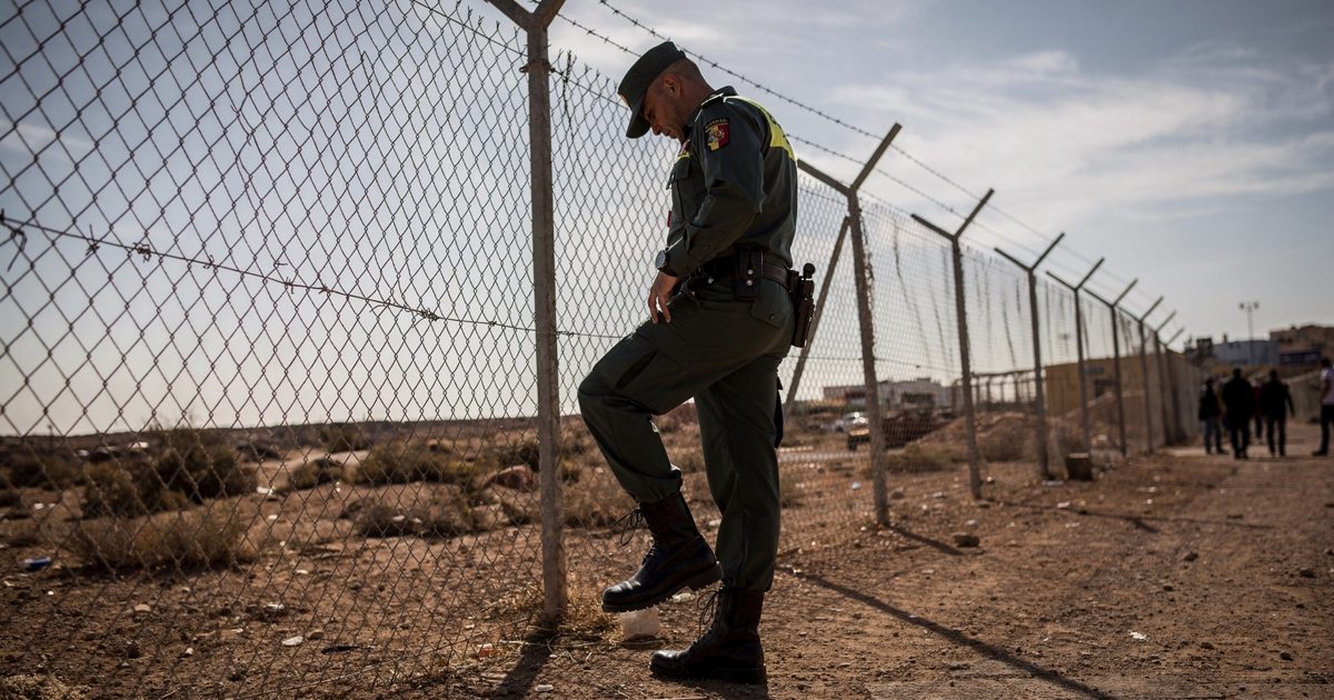 Mid-morning sunlight striking a tall chain-link border fence in North Africa, a civil guard officer framed from the waist up turning their back to the wire to.